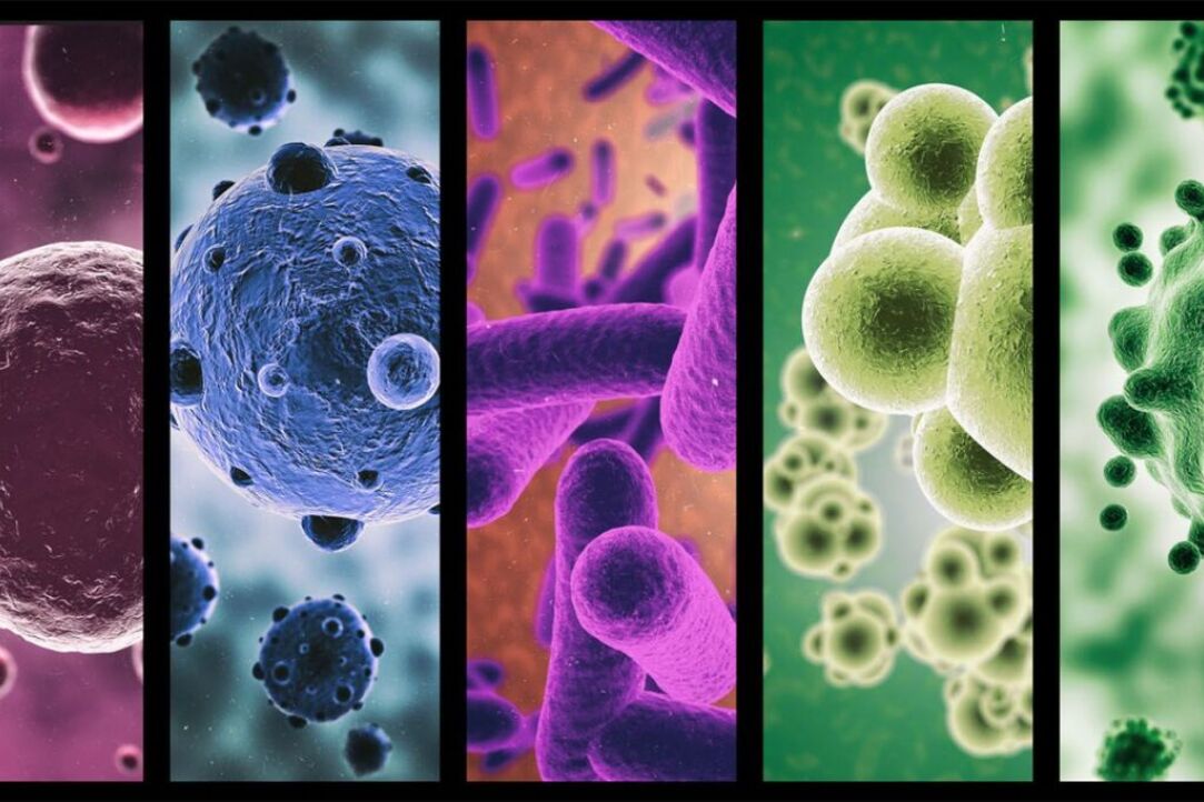 С чем связано усиление опасности инфекционных заболеваний?